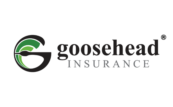 Homeowners Insurance by Goosehead Insurance - Joni Wagner Agency