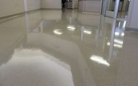Strip and Wax by OCD Cleaning LLC