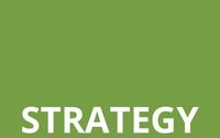 Strategy by Digital Lightbridge + Marketing Agency