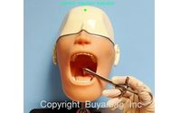 Dental Education Models Training Simulators Manikins For Practicing Dental Techniques by Buyamag Inc. Dental Simulators Manikins Models For Practice Training Education Phantom Heads. Medical Teaching Anatomical Models Manikin Simulators For Education Training Practicing