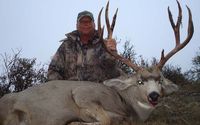 WATCHDOG- THE WIZARD AT RECEIVING LICENSES FOR WESTERN MULE DEER Elk, ANTELOPE AND MOOSE by Discount Hunts LLC