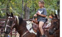 Equine therapy by PEER 2 PEER WHOLE WELLNESS