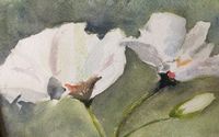 Watercolor paintings for sale, cards, teaching by I paint and teach watercolor painting