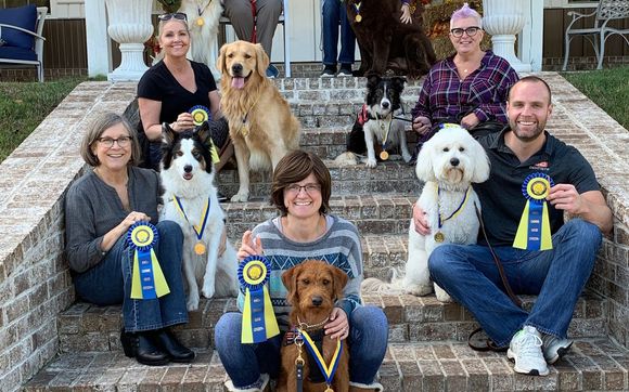 Dog Training Family-Service-Therapy by K-9 Companions Nashville