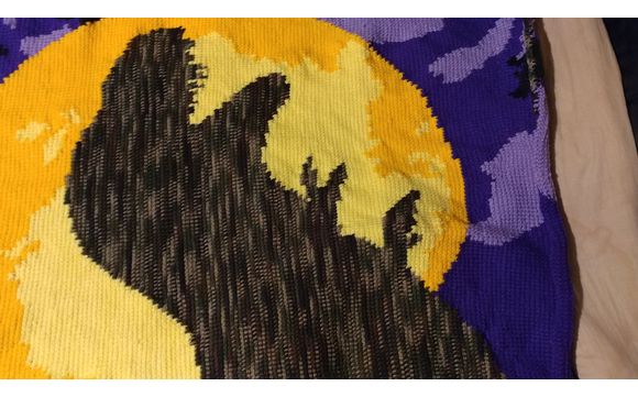 Crochet afghans and anything else that can be crocheted by Madebycrausy