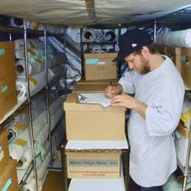 Mold Remediation, Pest Abatement, Soot Removal: For Artworks and Collections by ACdR Conservation - Art Conservation de Rigueur