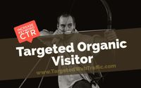 Best Organic Traffic Services To Buy Online by TargetedWebTraffic.com