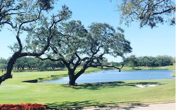 grande oaks golf club in davie fl