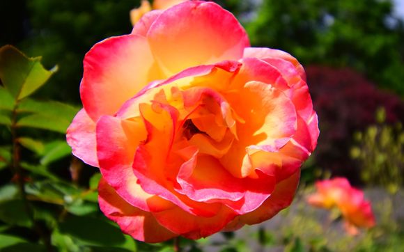 Donna Schmidt Nature Photography by Donna Schmidt Photography