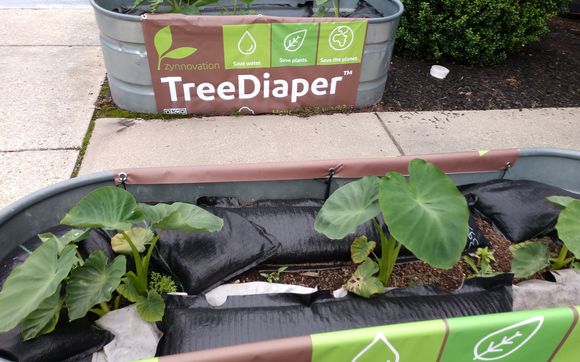 TreeDiaper® garden mat 36x12 by TreeDiaper