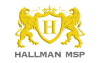 Professional Package - Managed IT Service  by Hallman MSP