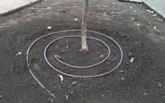 Irrigation Services by Reno Green Landscaping