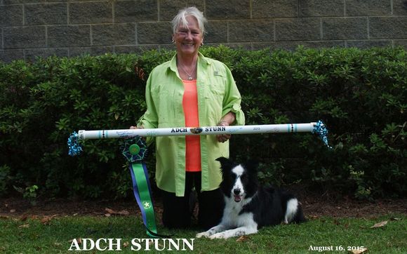 Dog Obedience Training by Precocious Paws - Dog Training