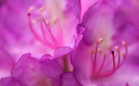 Fine Art Photography by Ed Rehbein Photography