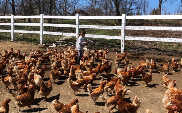 Currie’s Corner Farm - Egg Grading Station by Currie's Corner Farm