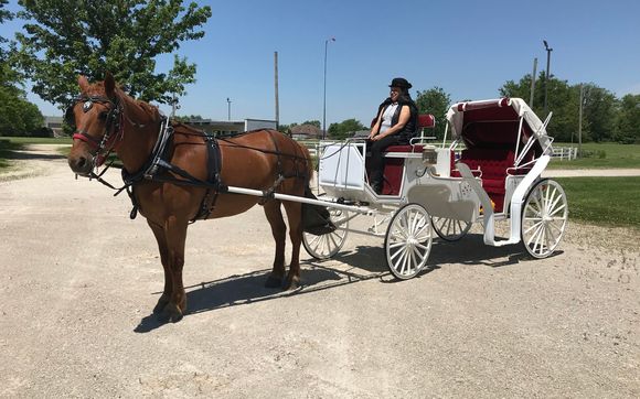 Horse and hot sale buggy rental