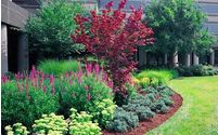 Commercial Property Maintenance by Visions Greenworks LLC