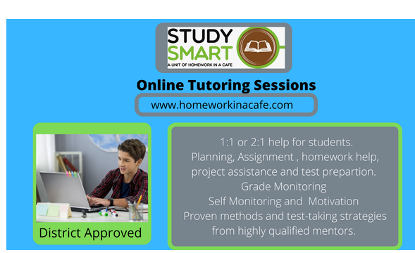 Online Tutoring Session by Homework In a cafe