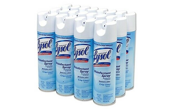 Lysol Disinfectant Spray – 19 oz. – 12-Pack Case by NTSMEDTech LLC in ...