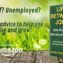 New book by David Petrovay Coaching