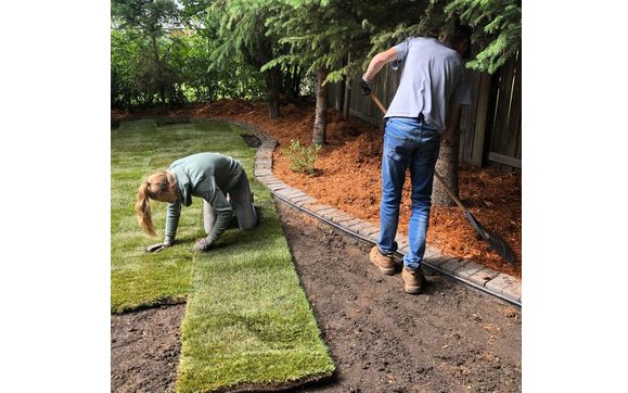 Lawn Patching by Yard Attack Landscaping
