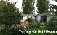 Contactless Check-ins by Ginger Cat B&B