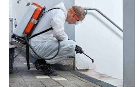 Mold Remediation  by Prime Home Services, Inc