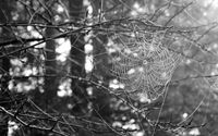 Free Photography Workshops by Edge Photography