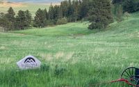 Contactless Check-ins by Bearlodge Mountain Resort