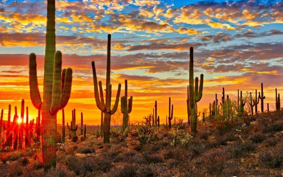 Guided Vacations by Boomerang Travel