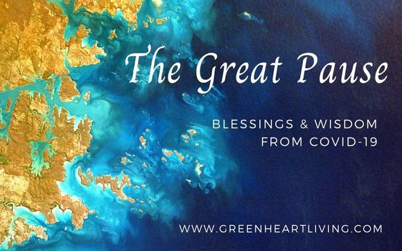 The Great Pause by Elizabeth Hall Coaching