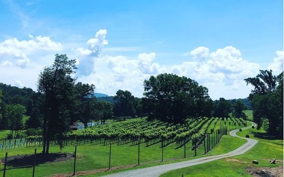 Wisdom Oak Winery by Wisdom Oak Winery