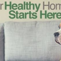 Upholstery Cleaning by Johnson County Chem-Dry