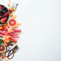 Wellness Coaching by Hall Chiropractic