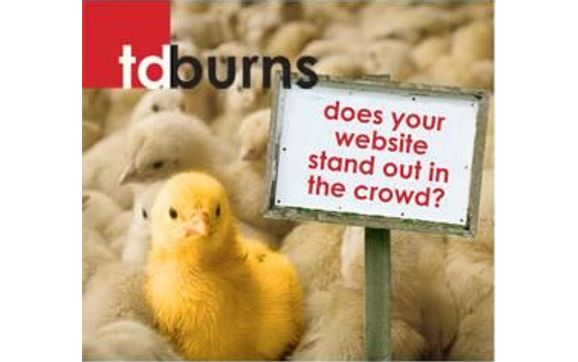 Internet Marketing by tdburns, llc