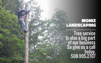 Tree Cutting Service by Moniz Landscaping