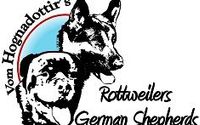 vomhognadottirsGermanShepherd /Rottweiler .com Puppy breeder by vom Hognadottirs.com