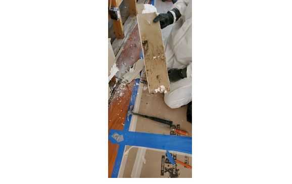 Mold Remediation by Lonestar Custom Construction & Remodeling