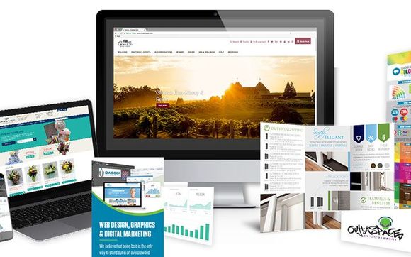 Website Design Only $299 by Intro Blue Design