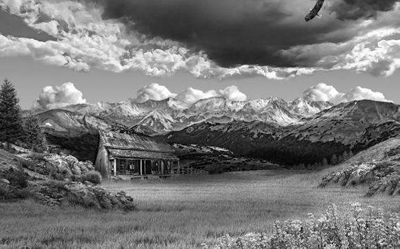 Original B&W illustrations by Dave Warren Art, LLC