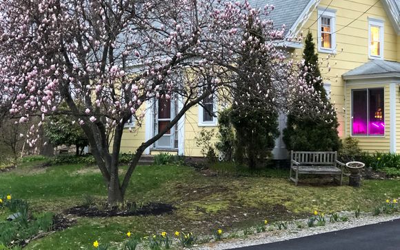 Wellness Retreat by Brain Training of New England