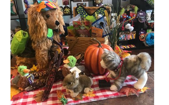 Pet Retail by Buddy's A Pet's Store