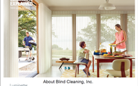 Hunt Douglas  Luminettes Privacey Sheers by About Blind Cleaning Inc