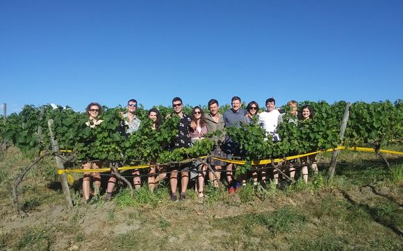 Wine tours in the okanagan by Altimate Club Wine Tours