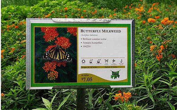 plant-bench-cards-by-garden-center-marketing-in-holly-springs-nc