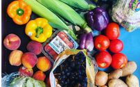 online order and contactless delivery by Radish Republic