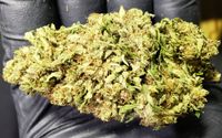 CBD & CBG Premium Hemp Flower by D&D Farms