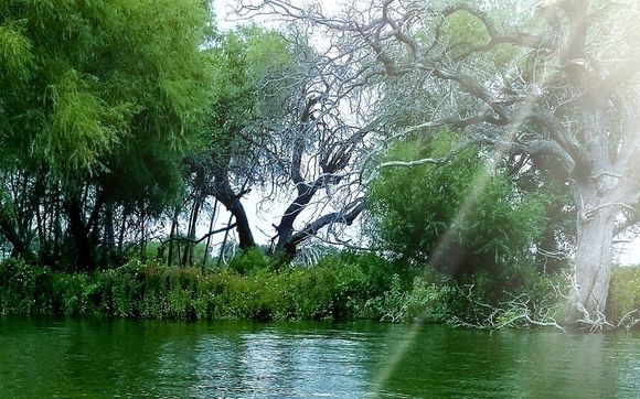 Pretty Days Can Fool You - It's Time to Winterize Your Boat! by Marineland Boating Center