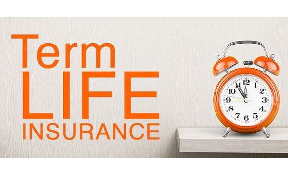 Term Life Insurance by PHP Agency