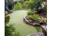Golf Tournament by THE OASIS RANCH MINI GOLF